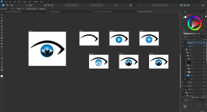 Colorado West Ophthalmology Logo Redesign Portfolio Example