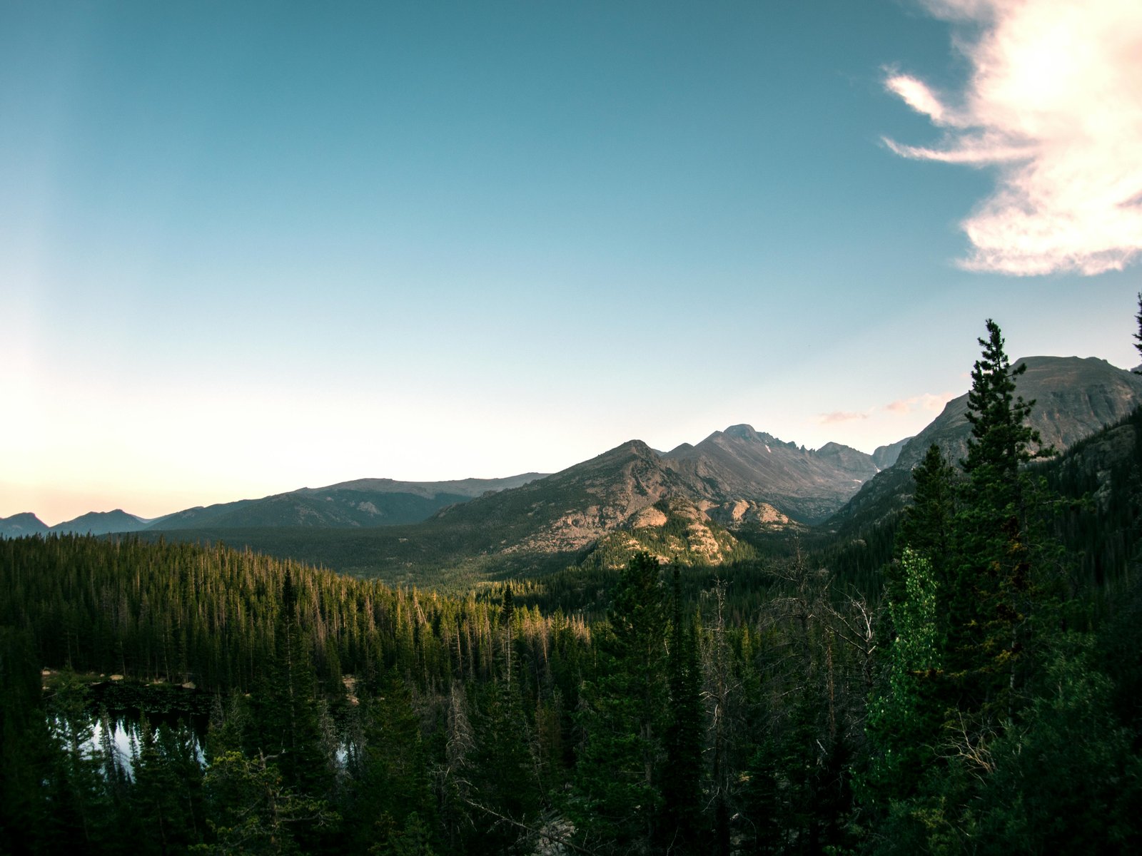 photo of montrose, co